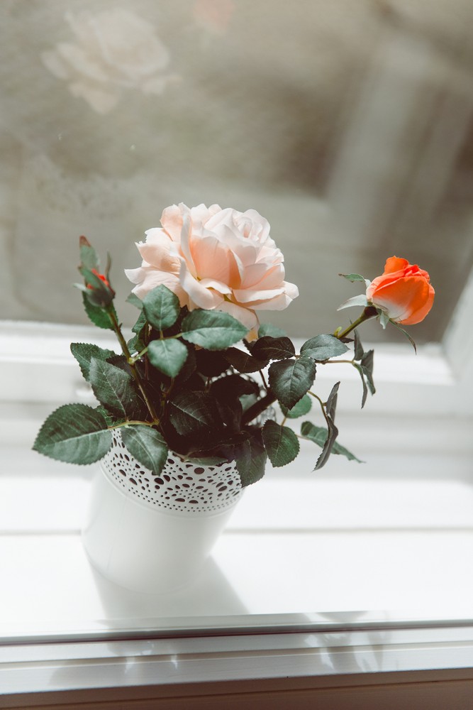 Hochzeitsfotograf Standesamt Harburg - Samanta und Sebastian